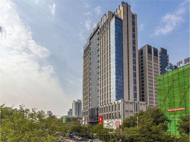 宜宾明星蓝莓苗批发多少钱